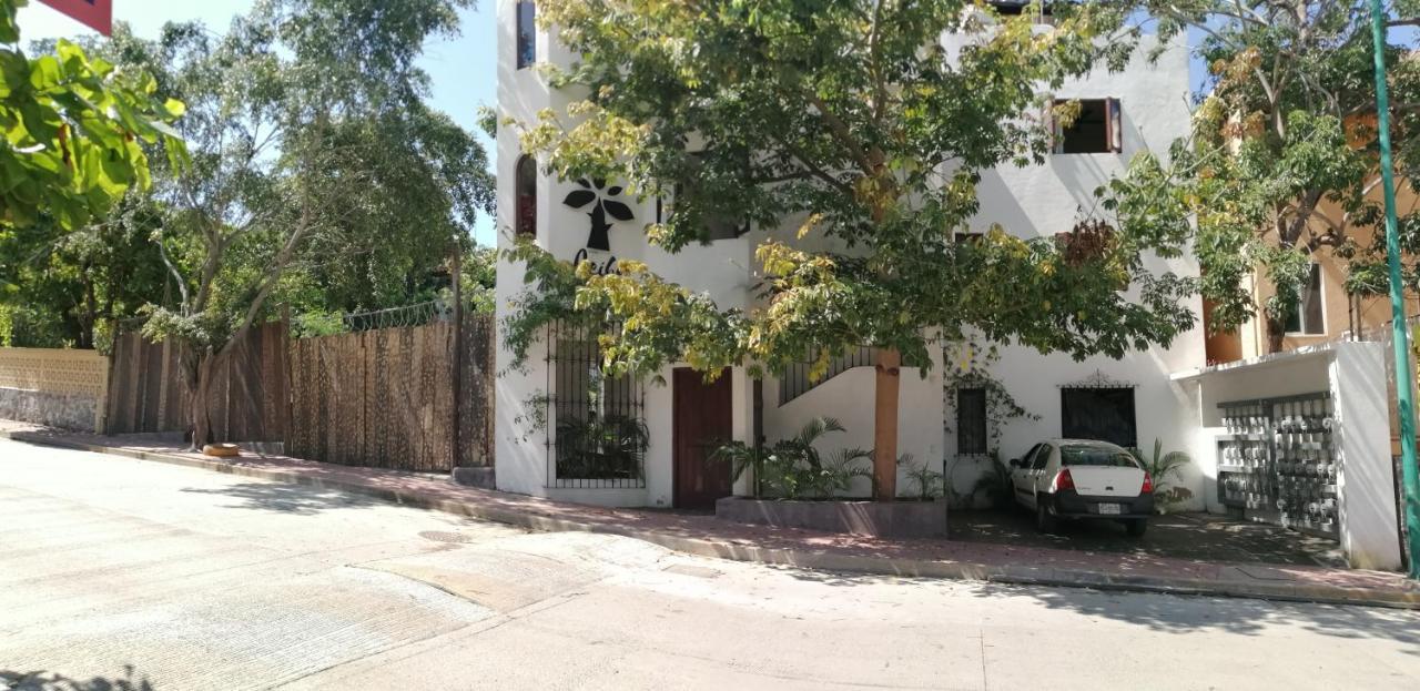 Ceiba * Zihuatanejo