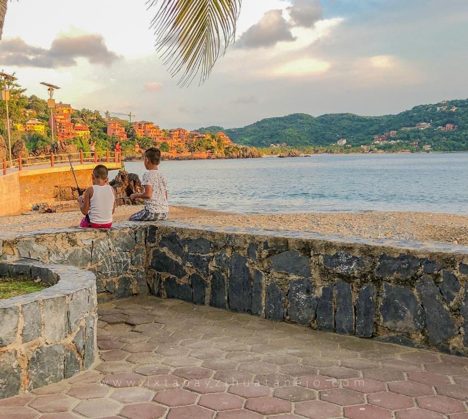 Ceiba *